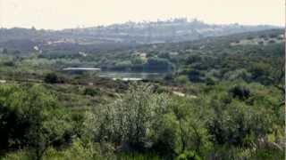 Trail Talk  Lake Calavera [upl. by Hibbitts499]