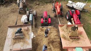 Warrenpoint amp Burren Vintage Threshing Lawsons Farm Sept 2024 short version [upl. by Aleinad]