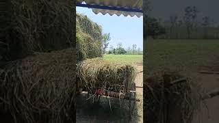 contract Farming for Citronella amp Lemongrass [upl. by Akfir]