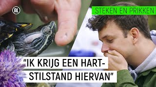 SCHILDPAD BIJT JURRE  Steken amp Prikken 10  NPO Zapp [upl. by Mannos]