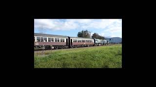 Kuranda Scenic Railway Cairns Queensland shorts railfan queenslandrail dieseltrains kuranda [upl. by Ainez756]