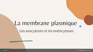 Exocytoses et endocytoses [upl. by Chaunce]