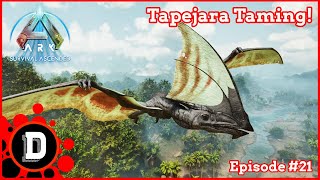 TAPEJARA taming E21 Ark Survival Ascended [upl. by Chae780]