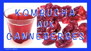 kombucha aux Canneberges Cranberry  Boisson Rafraîchissante amp Santé [upl. by Synn]