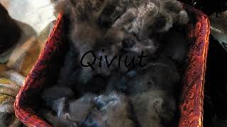 How to Pronounce Qiviut [upl. by Nrek]