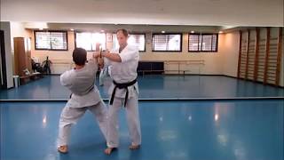 Okinawan Karate  interview with Itzik Cohen Sensei [upl. by Noelopan950]