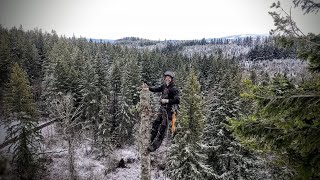 climbing and topping more trees in the snow [upl. by Cilurzo]