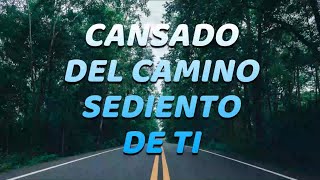 Sumergeme  Jesus Adrian Romero LetraLyrics Cansado Del Camino [upl. by Sille876]