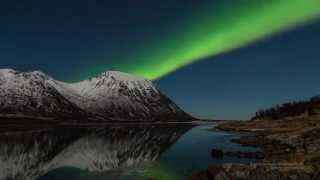 Northern Lights in Lofoten  Aurora Borealis in the Lofoten Islands Norway [upl. by Enaasiali]