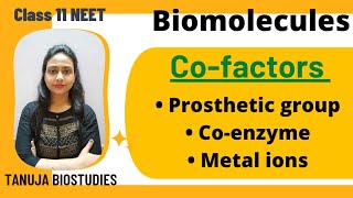 Biomolecules  Cofactors  Prosthetic group  Coenzyme  Metal ions  Class 11 biologyNEETAIIMS [upl. by Nahej]