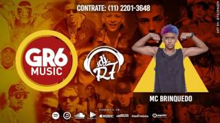 MC Brinquedo  Nota De 100 DJ R7 [upl. by Yuk]