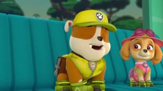 PAW Patrol Season 3 Episode 21 PARROTING PUPS 03 [upl. by Erminie]