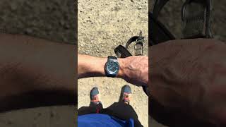 GShock GBM2100A1A2 Wristcheck watch [upl. by Armando]