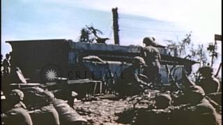 US Marines LVTs and DUKWs at a beach on Peleliu Island Palau during World War IHD Stock Footage [upl. by Treulich]