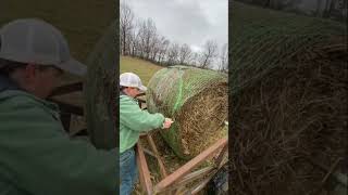 Throwback to our DIY hay bale unroller Would you use one of these welding weld fyp diy reels [upl. by Morville]