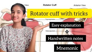 Rotator cuff  musculotendinous cuff anatomy  Upper limb anatomy Easy explanation with mnemonics [upl. by Casabonne150]