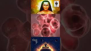 Kriya Yoga Part 8  God Consciousness  Voice Of Vishnu Babaji  shorts [upl. by Siusan578]