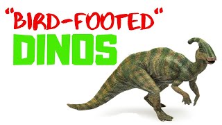 Dinosaurs  ORNITHOPODS  Learning Video for Kids  Educational FUN [upl. by Shyamal]