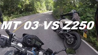 MT 03 VS Z250 CURVAS [upl. by Salokin932]