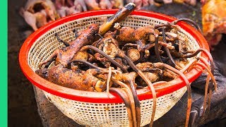 Bizarre Indonesian Jungle Food Welcome to EXTREME Indonesian Cooking in North Sulawesi [upl. by Ahsienom492]