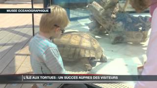 Musée Océanographique  lîle aux tortues est un succès [upl. by Lozano150]