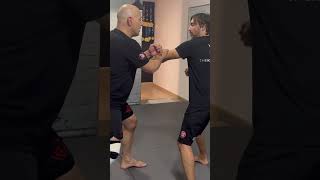 La Combinación Perfecta Wing Chun de Foshan y Hong Kong [upl. by Nyleahs180]