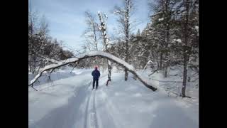 Saariselkä erämaaladut 2011 Urho Kekkosen Kansallispuisto [upl. by Gitel]