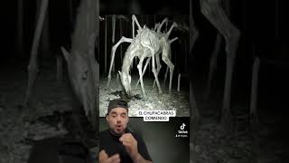 Chupacabras REAL captado en video espeluznante paranormal paranodormir [upl. by Lapides]