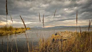 Duck Boat Blind Additions for the 2024 Waterfowl Season [upl. by Caddric]