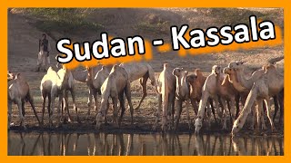 Sudan  Kassala [upl. by Allebram148]