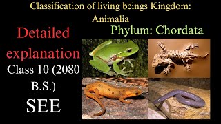 SEE Unit2 Classification of living beings Part5 Phylum Chordata [upl. by Llerrut]