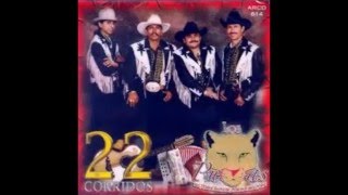 Los Pumas de Huetamo michoacan puros corridos [upl. by Daughtry]