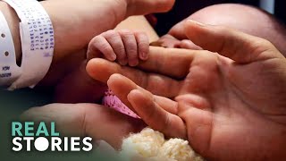 Capturing a Short Life Losing Our Beautiful Babies Family Documentary  Real Stories [upl. by Droffig940]