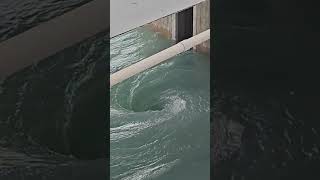 Largest Dam Spillways Radial Gates opening  How Electricity is generated i [upl. by Schmeltzer]