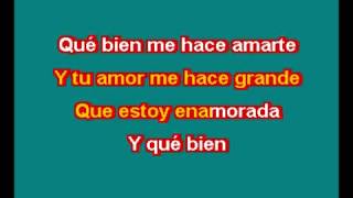 THALIA ESTOY ENAMORADO KARAOKE [upl. by Acceb]