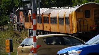 Glenbrook Vintage Railway East West Rail Tour Napier Hawkes Bay visit 9 11th November 2024 [upl. by Gerge]