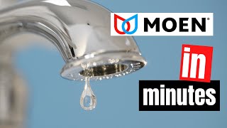 Stop a Dripping Single Handle Bathroom Faucet  Moen Washerless [upl. by Cock]