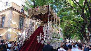 Virgen de la Candelaria en la Porvera Magna Mariana Jerez 2024 [upl. by Farly]