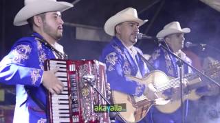 Los Canelos De Durango  El Sabio Salomón 2016  EN VIVO [upl. by Anneh614]