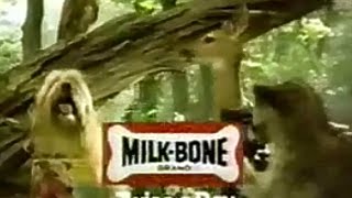 Milk Bone Dog Biscuits Makes Whiter Teeth And Fresher Breath 1980s TV Commercial HD [upl. by Acinomed]