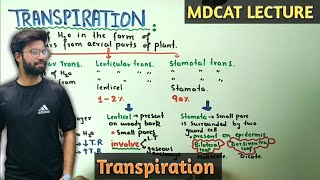 Transpiration in plants  NMDCAT 2021 [upl. by Marra]