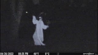 Top 20 Creepiest Things Caught on Trail Cameras [upl. by Notnirb]