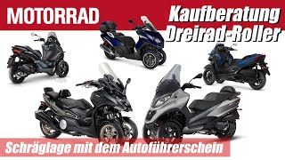 DreiradRoller in Deutschland im Überblick Die Alternative für Autofahrer [upl. by Bernardina]