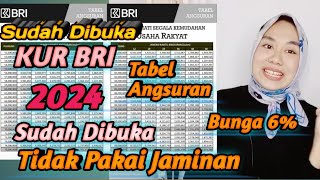 Pinjaman KUR BRI 2024 Sudah dibuka  Tabel KUR BRI 2024 [upl. by Barty]