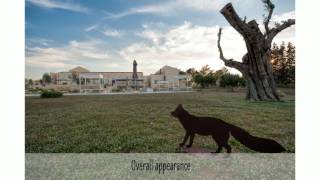 Masseria Della Volpe [upl. by Anitsua313]