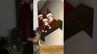 Cat reaction to 😱 Creepy Elf on the shelf 🤪😲 Skibidi Toilet Song christmas scary shorts [upl. by Pembroke395]