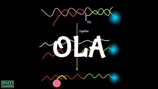 Oligonucleotide Ligation Assay  OLA Assay [upl. by Panaggio494]