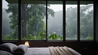 Stress Relieving Sounds with Rain Falling Outside the Room  Relaxing Rain for a Good Sleep [upl. by Gonzalez]