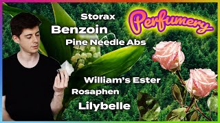 My new perfumery raw materials Lilybelle Storax Pine Needle Absolute Rosaphen Benzoin C3HC3H [upl. by Dilahk]