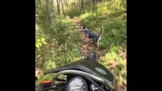 Suzuki DR200 Single Track Champ motorcycle suzukioffroad dirtbike nature suzukidr [upl. by Batchelor141]